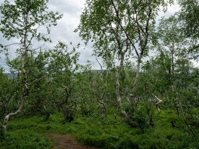 DSC03097